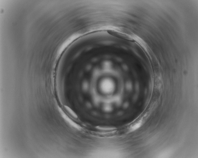 X0000065971151200603172044