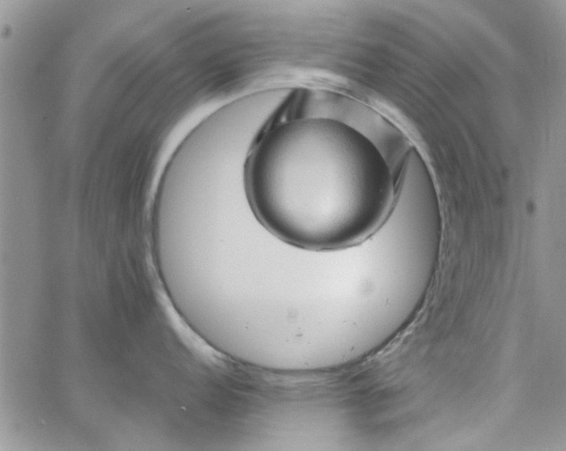 X0000065971152200603172044