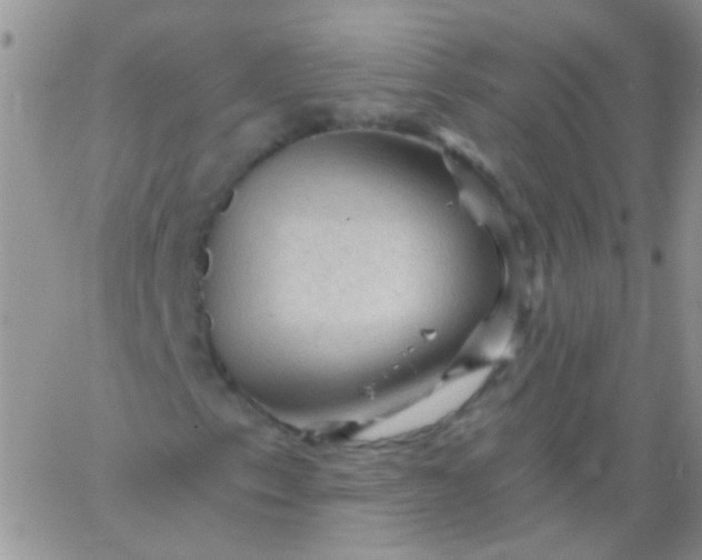 X0000065971153200603172043