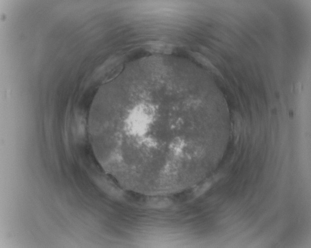 X0000065971154200603172043