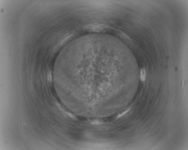 X0000065971155200603172043