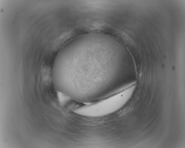 X0000065971156200603172043