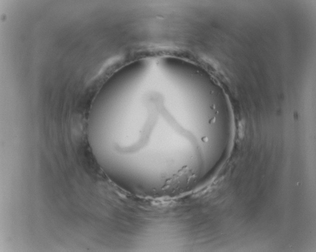 X0000065971157200603172043