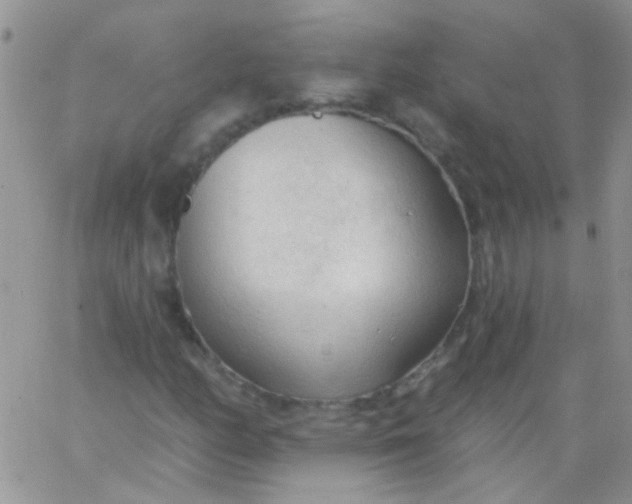 X0000065971158200603172043