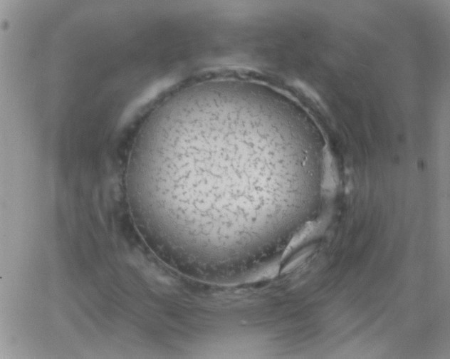 X0000065971159200603172043