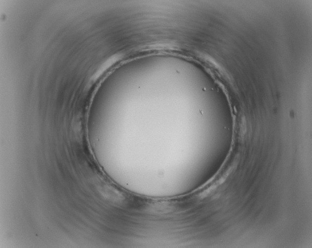 X0000065971162200603172043