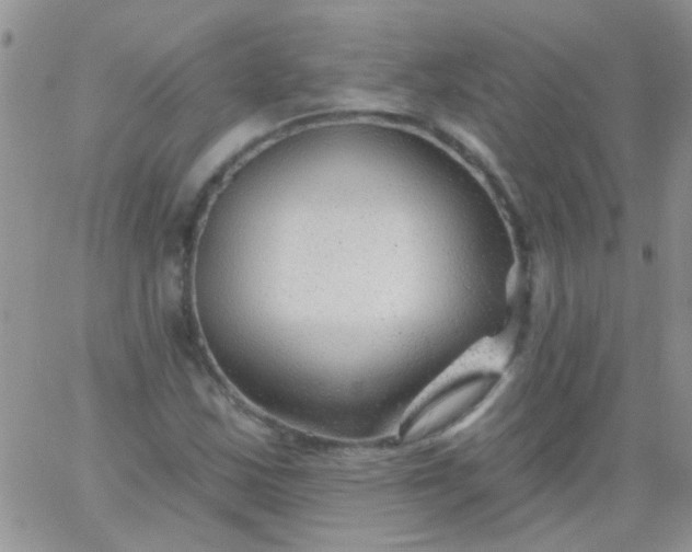 X0000065971163200603172043