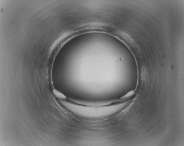 X0000065971164200603172043