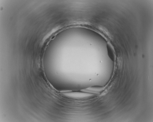 X0000065971165200603172043