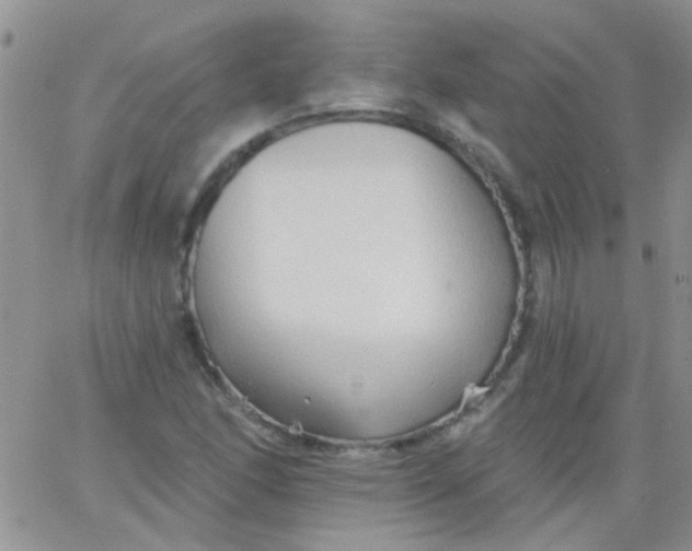 X0000065971166200603172043