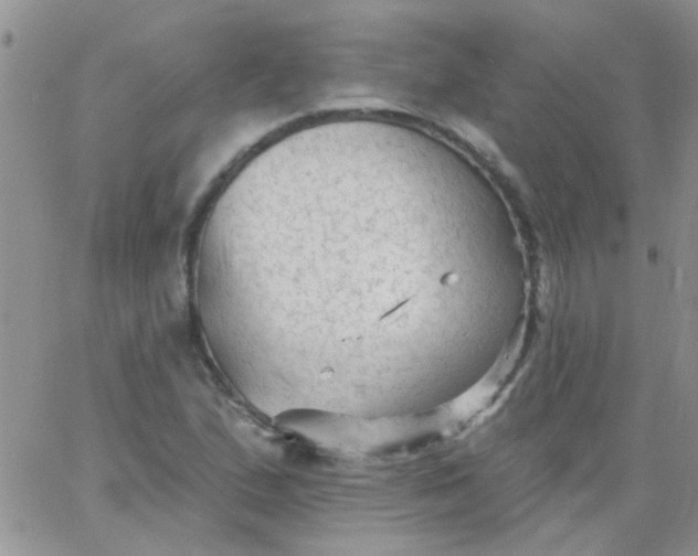 X0000065971167200603172043