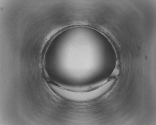 X0000065971168200603172043