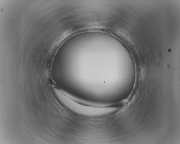 X0000065971169200603172043