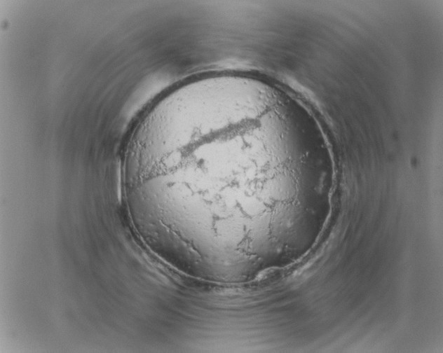 X0000065971171200603172043