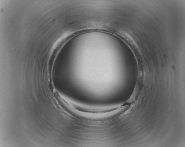 X0000065971172200603172043