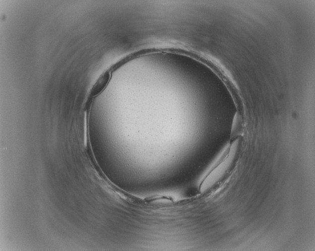 X0000065971175200603172043