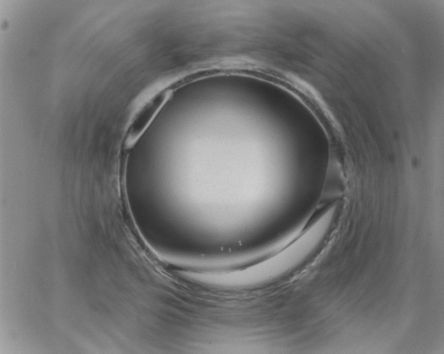 X0000065971176200603172042