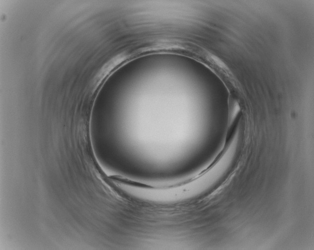 X0000065971177200603172042