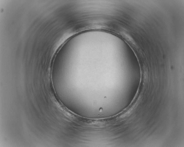 X0000065971178200603172042