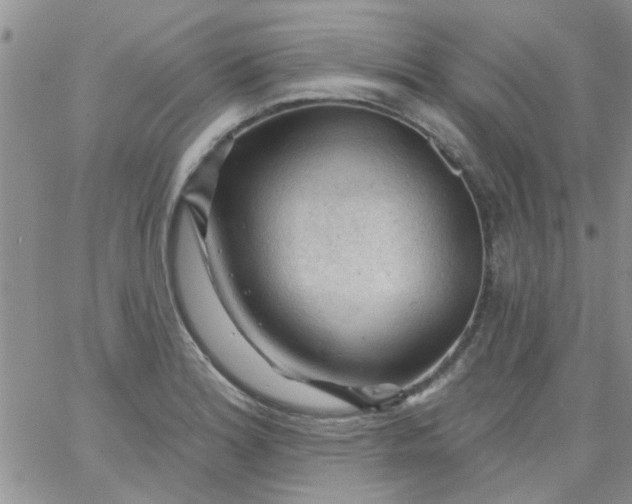 X0000065971180200603172042