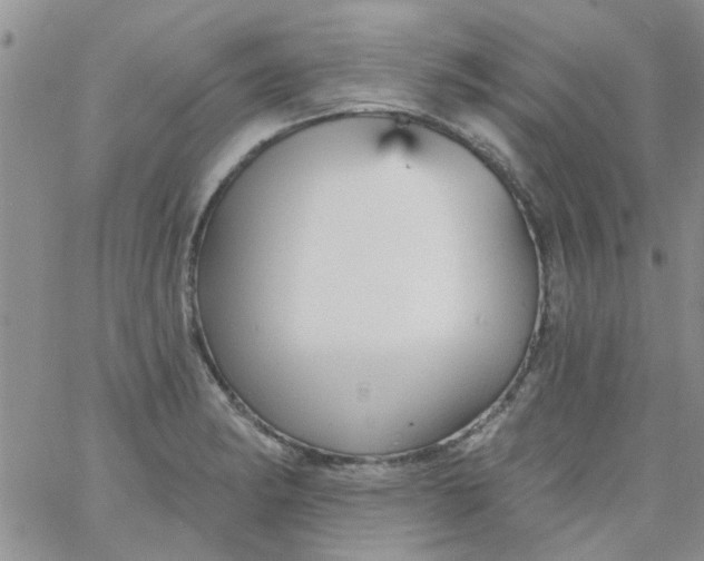 X0000065971182200603172042