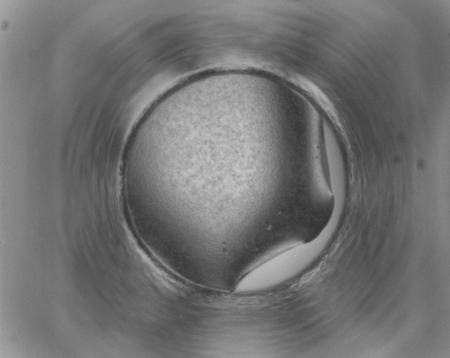 X0000065971183200603172042