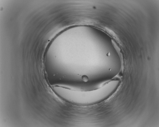 X0000065971184200603172042