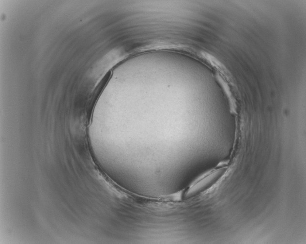 X0000065971185200603172042