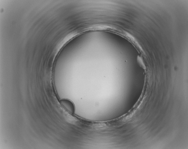 X0000065971186200603172042