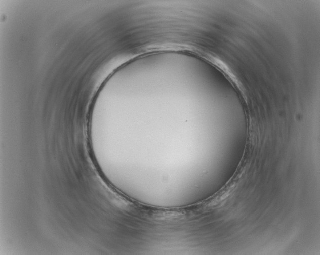 X0000065971187200603172042