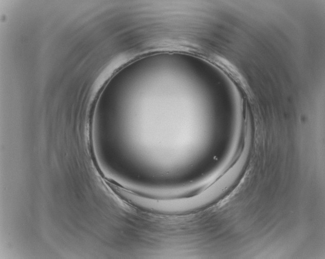 X0000065971188200603172042