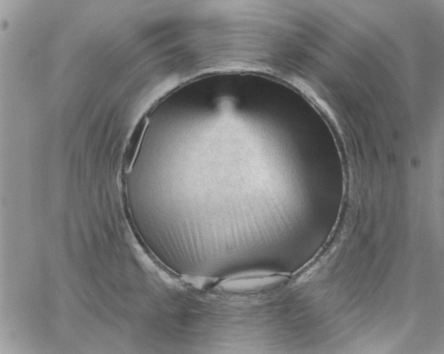 X0000065971189200603172042