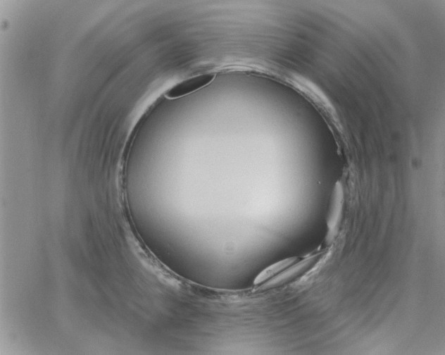 X0000065971190200603172042