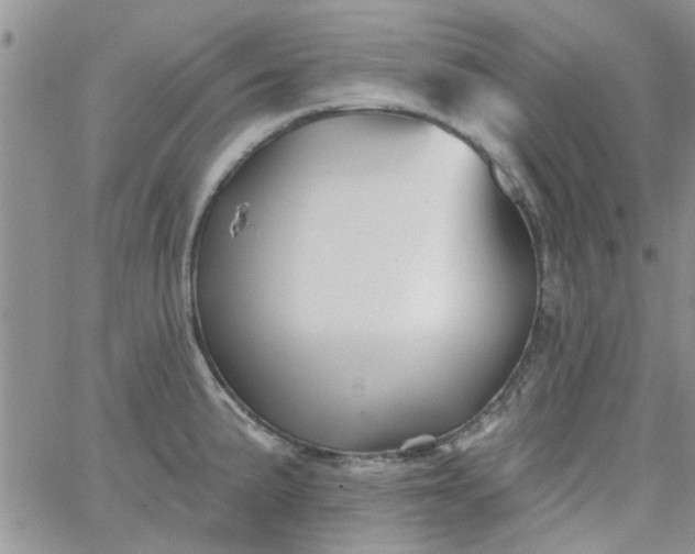 X0000065971191200603172042