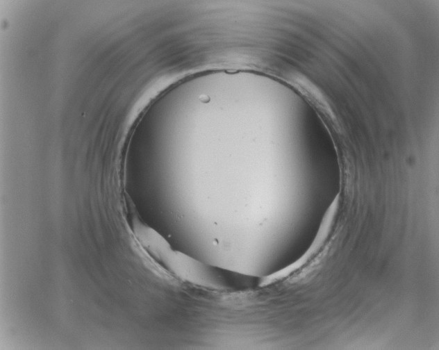 X0000065971192200603172042