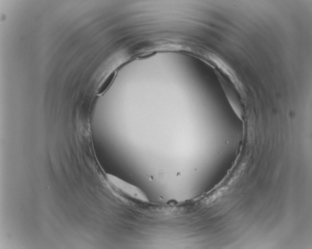 X0000065971193200603172042