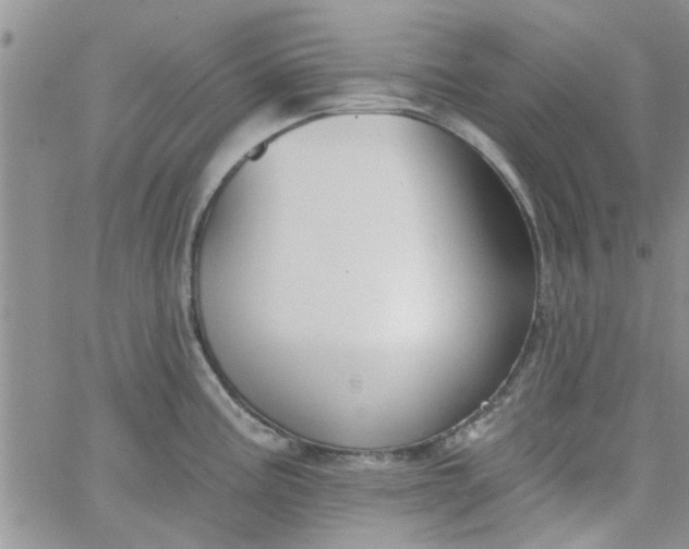 X0000065971195200603172042