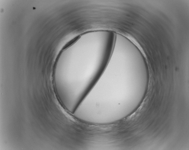 X0000065971197200603172042