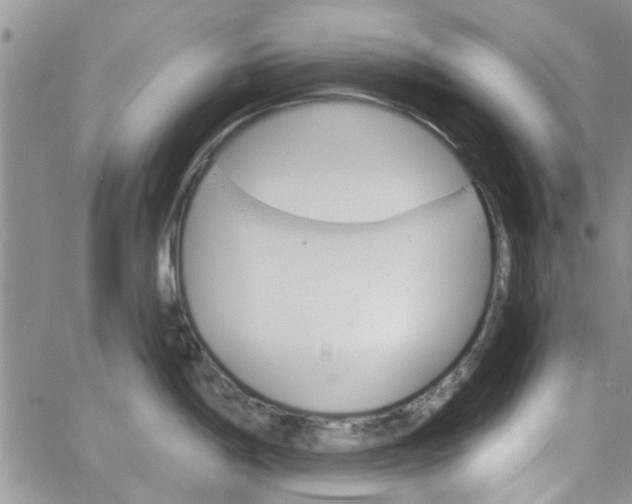 X0000065971198200603172042