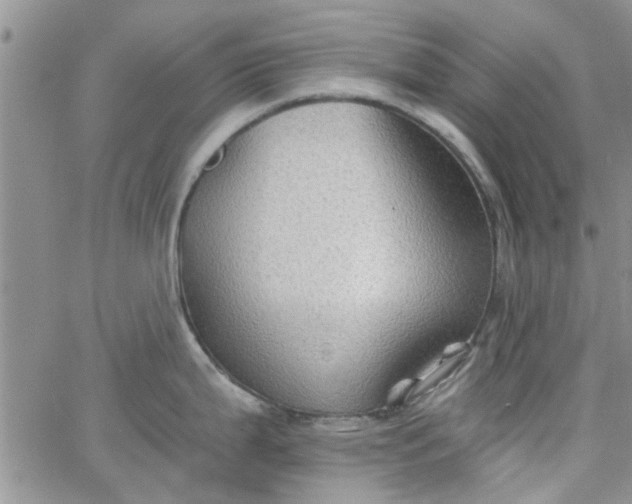 X0000065971199200603172042