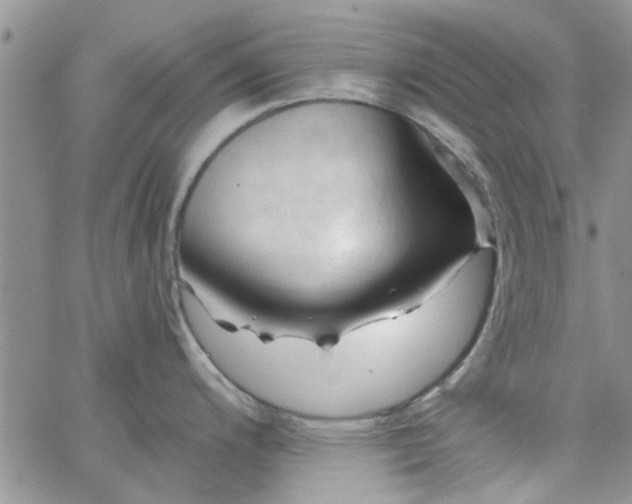 X0000065971200200603172042