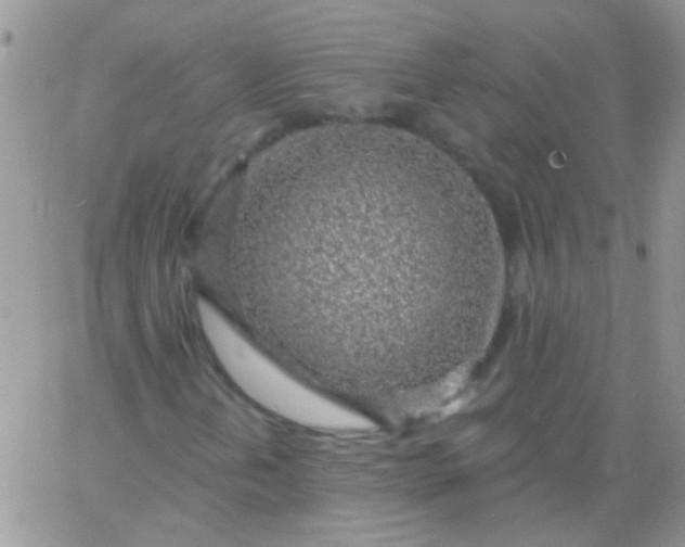 X0000065971202200603172041