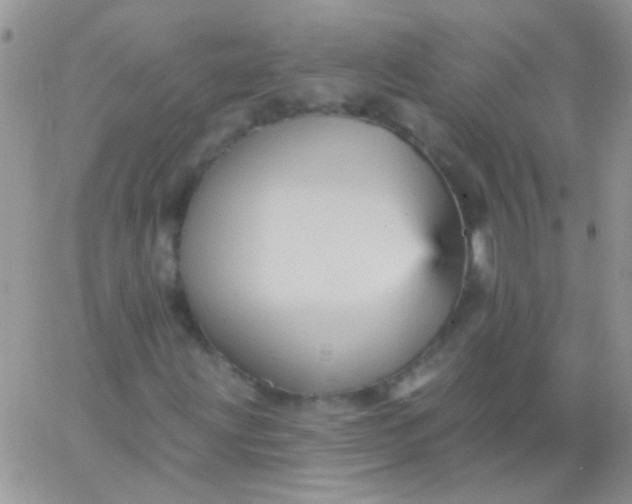 X0000065971203200603172041