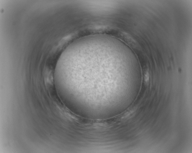 X0000065971204200603172041