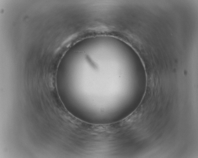 X0000065971205200603172041