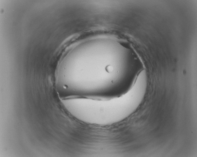 X0000065971206200603172041