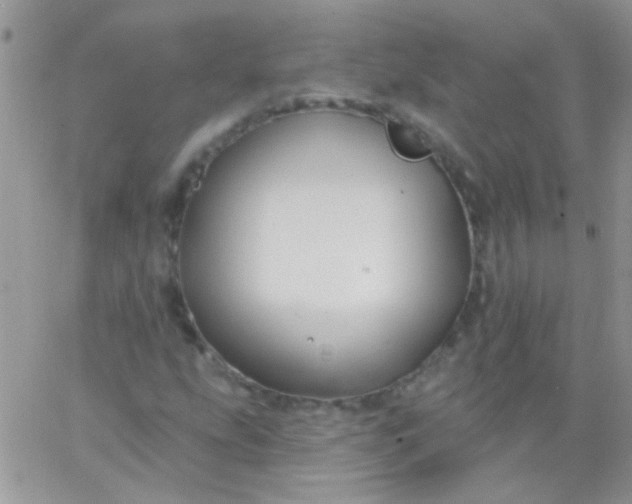 X0000065971207200603172041