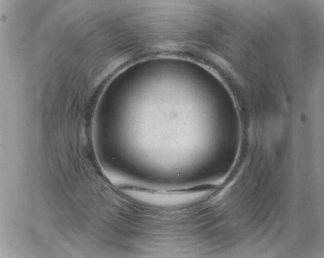 X0000065971209200603172041