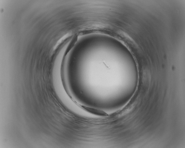 X0000065971210200603172041