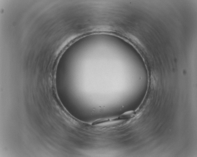 X0000065971212200603172041